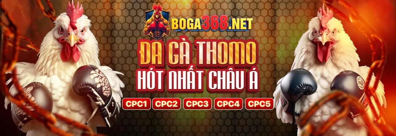 Điều khoản dịch vụ 88vn App